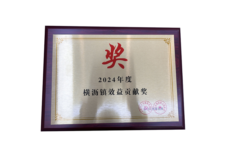 2024年度橫瀝鎮(zhèn)效益貢獻(xiàn)獎